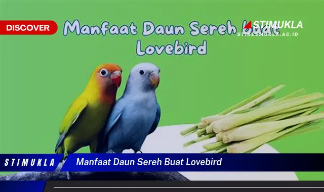 manfaat daun sereh buat lovebird