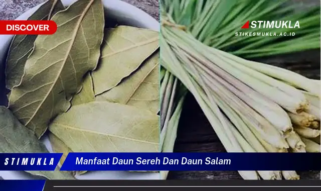 manfaat daun sereh dan daun salam