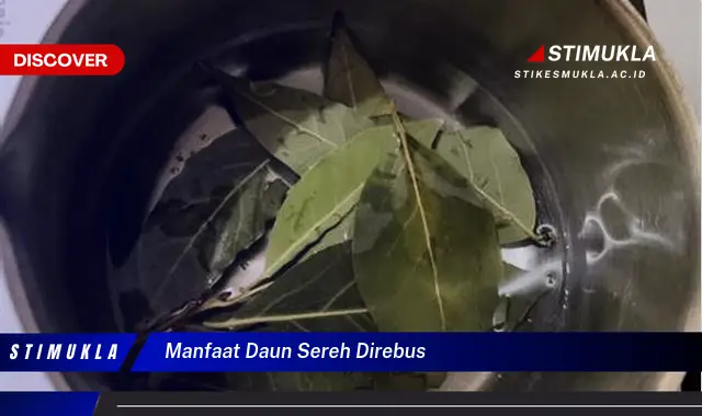 manfaat daun sereh direbus