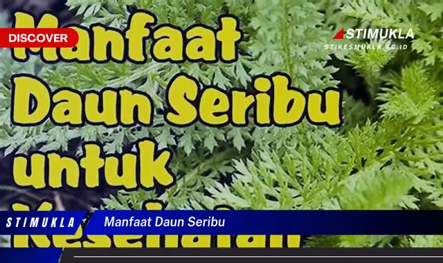 manfaat daun seribu