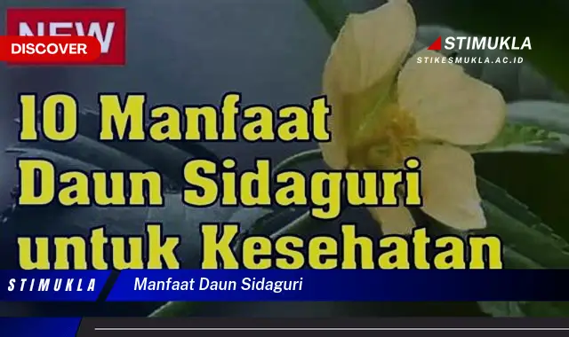 manfaat daun sidaguri