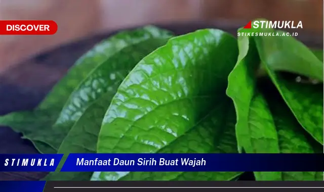 manfaat daun sirih buat wajah