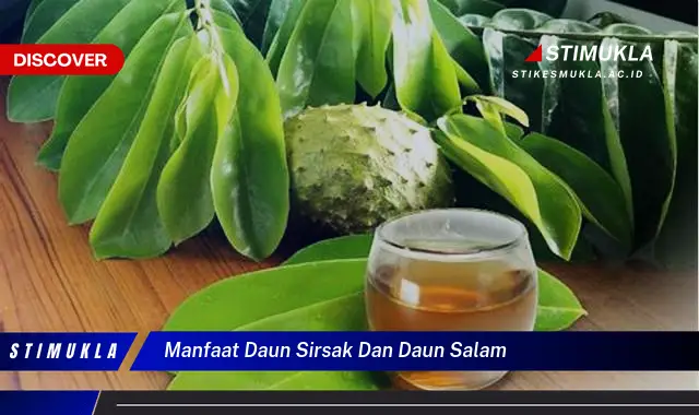 manfaat daun sirsak dan daun salam