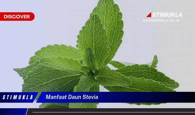 manfaat daun stevia