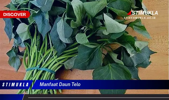 manfaat daun telo