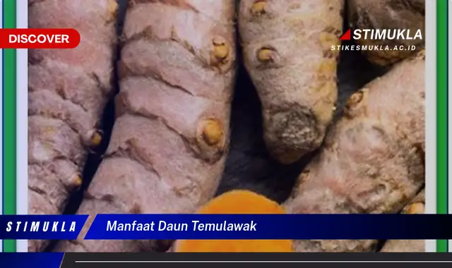 manfaat daun temulawak