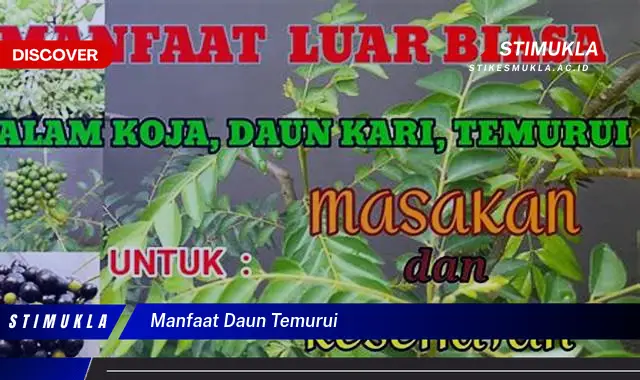 manfaat daun temurui