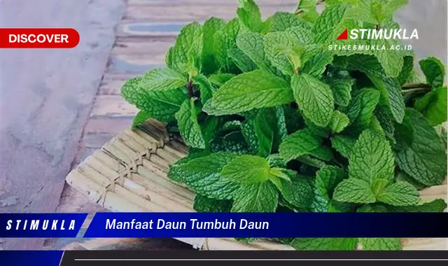manfaat daun tumbuh daun
