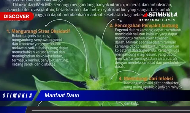 manfaat daun