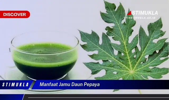 manfaat jamu daun pepaya