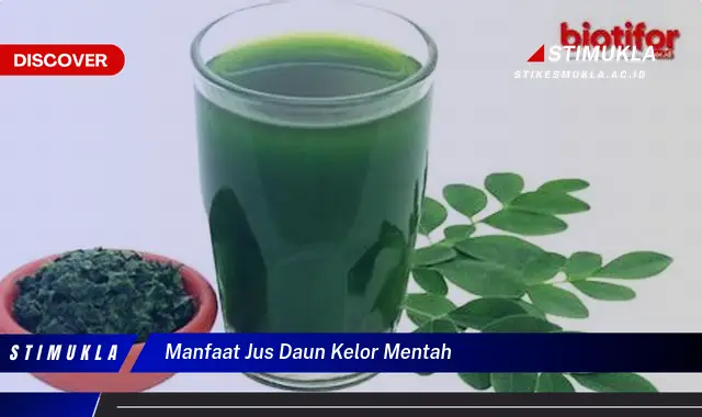 manfaat jus daun kelor mentah