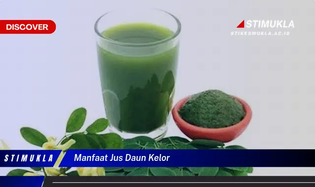 manfaat jus daun kelor