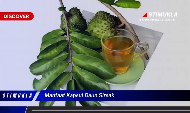 manfaat kapsul daun sirsak