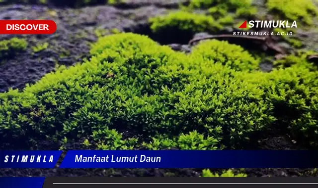 manfaat lumut daun