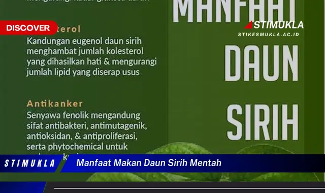 manfaat makan daun sirih mentah