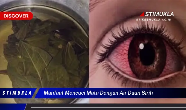 manfaat mencuci mata dengan air daun sirih