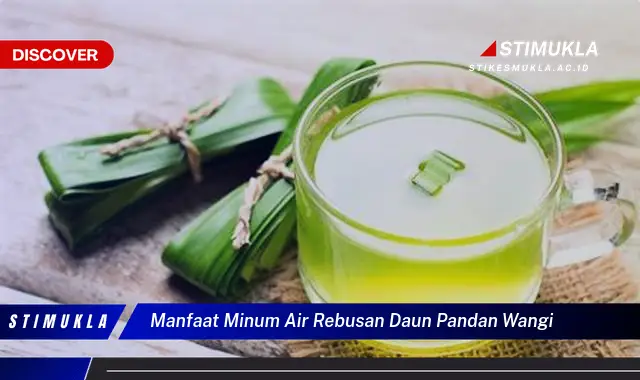 manfaat minum air rebusan daun pandan wangi