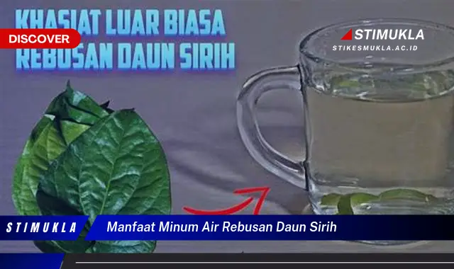 manfaat minum air rebusan daun sirih