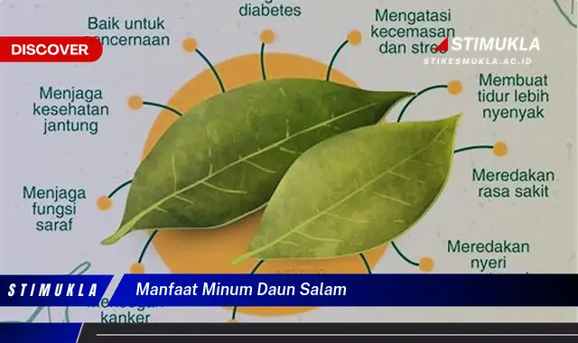 manfaat minum daun salam