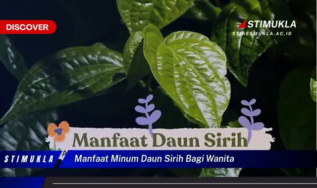 manfaat minum daun sirih bagi wanita