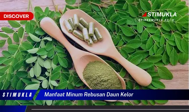 manfaat minum rebusan daun kelor