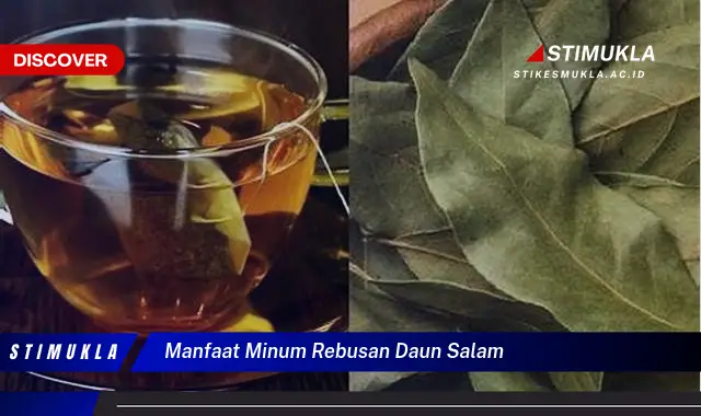 manfaat minum rebusan daun salam