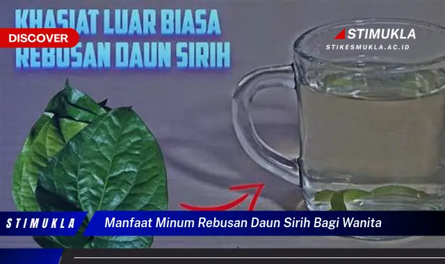 manfaat minum rebusan daun sirih bagi wanita