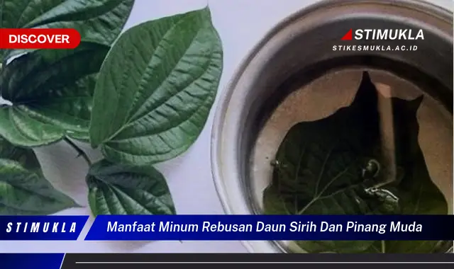 manfaat minum rebusan daun sirih dan pinang muda