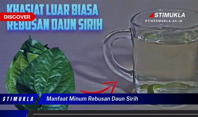 manfaat minum rebusan daun sirih