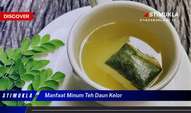 manfaat minum teh daun kelor