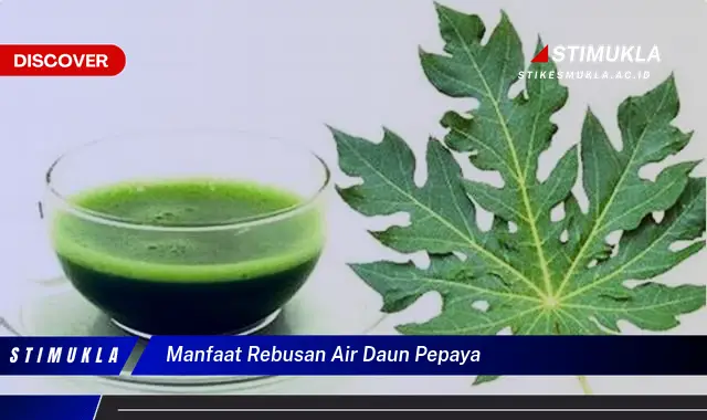 manfaat rebusan air daun pepaya