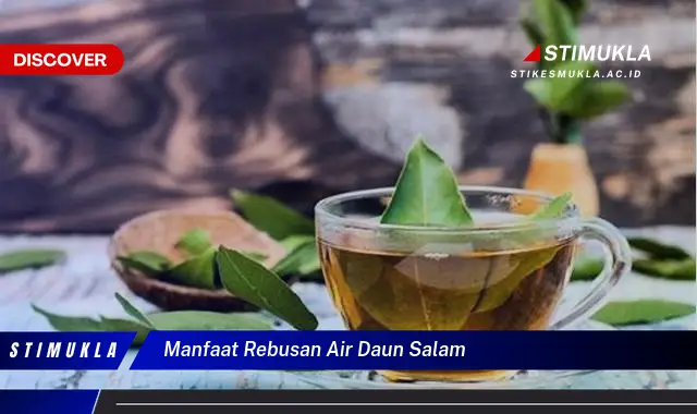 manfaat rebusan air daun salam