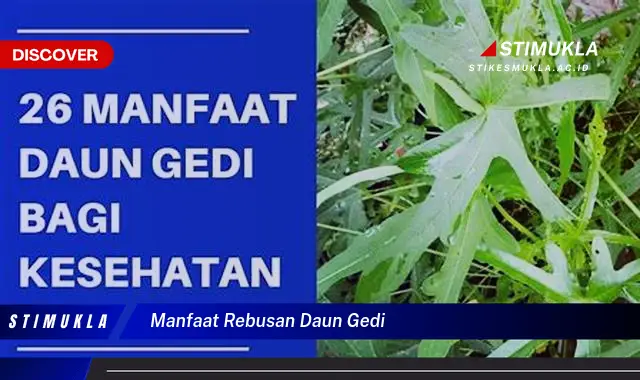 manfaat rebusan daun gedi