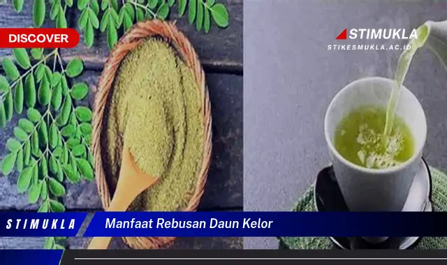 manfaat rebusan daun kelor