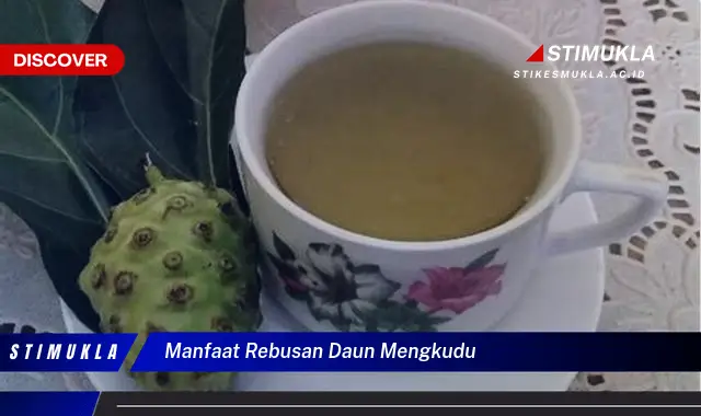 manfaat rebusan daun mengkudu