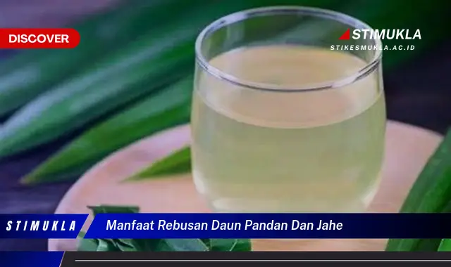 manfaat rebusan daun pandan dan jahe