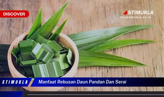 manfaat rebusan daun pandan dan serai