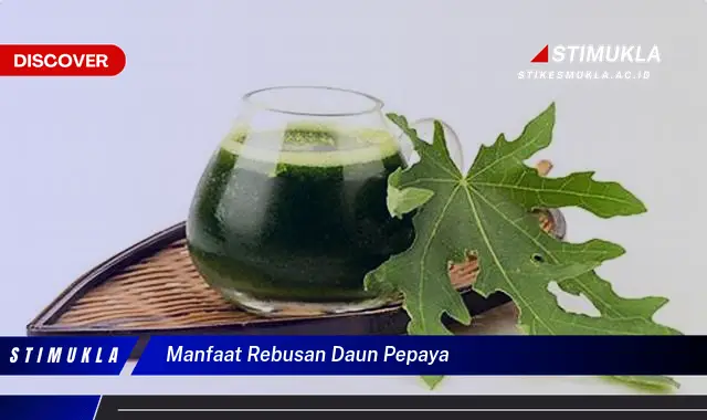 manfaat rebusan daun pepaya