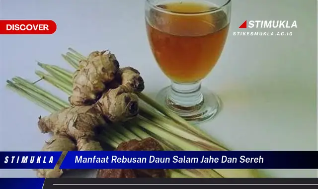 manfaat rebusan daun salam jahe dan sereh