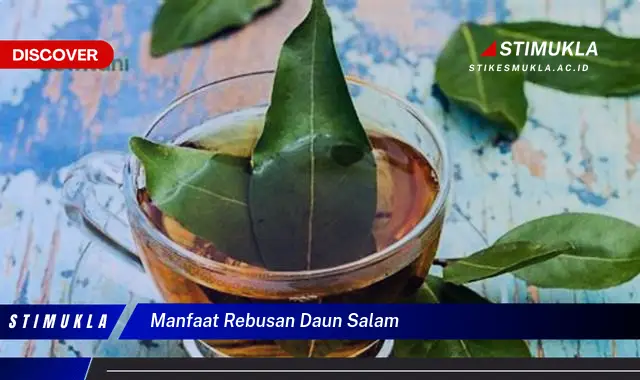 manfaat rebusan daun salam