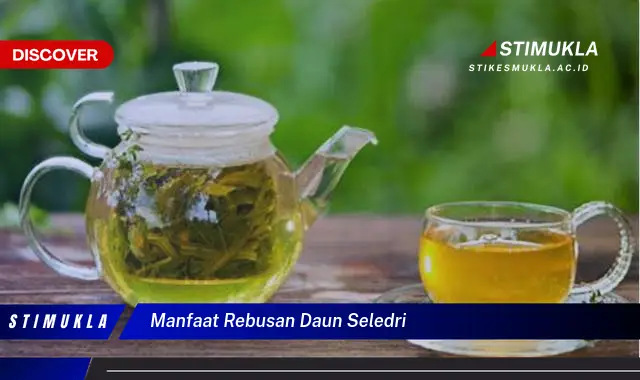 manfaat rebusan daun seledri