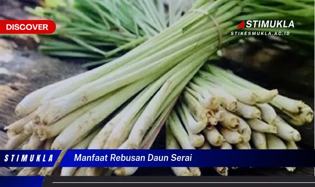 manfaat rebusan daun serai