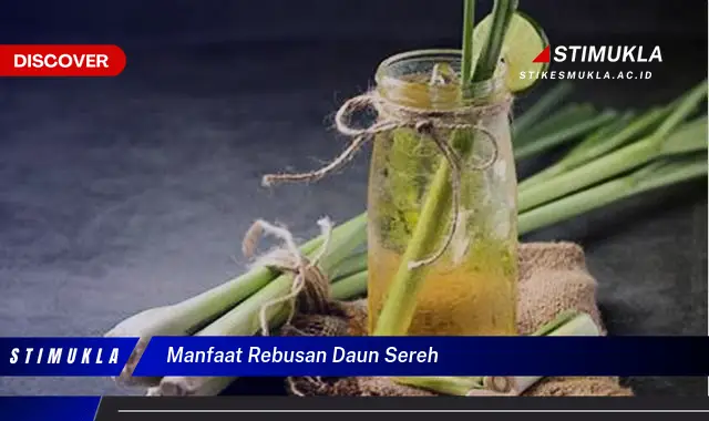 manfaat rebusan daun sereh