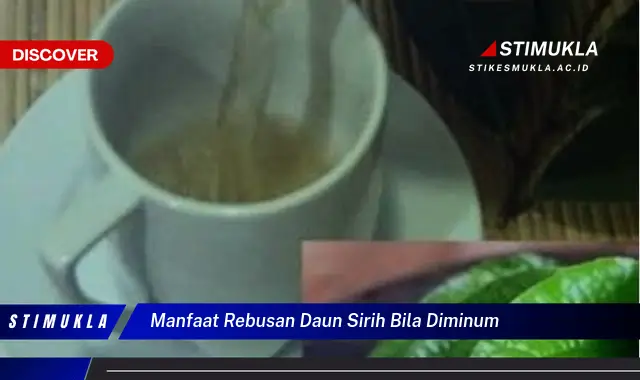 manfaat rebusan daun sirih bila diminum