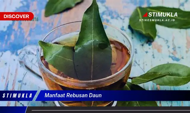 manfaat rebusan daun