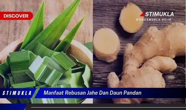 manfaat rebusan jahe dan daun pandan