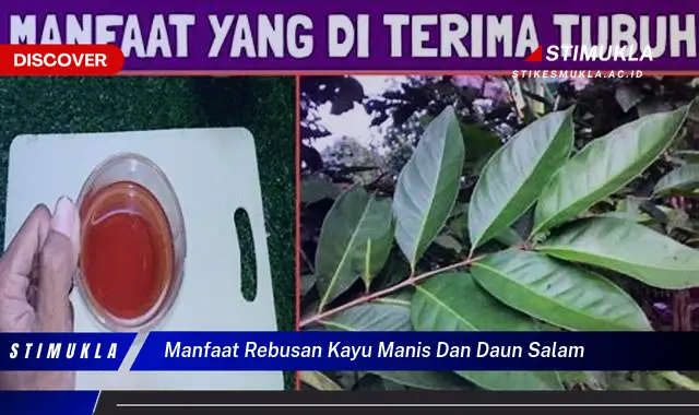manfaat rebusan kayu manis dan daun salam