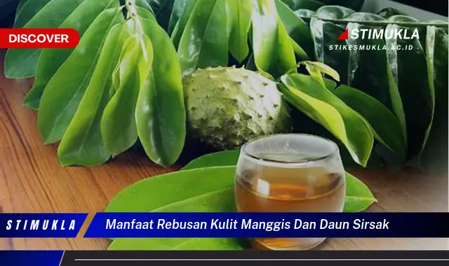 manfaat rebusan kulit manggis dan daun sirsak