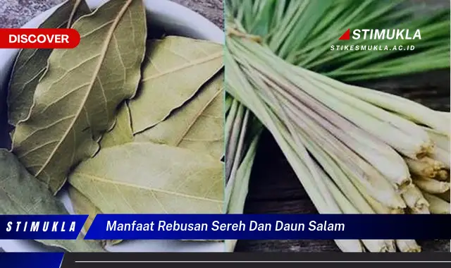 manfaat rebusan sereh dan daun salam