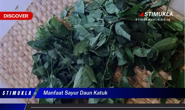 manfaat sayur daun katuk